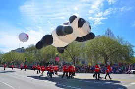 D C S Cherry Blossom Festival Parade 2018 What To Know