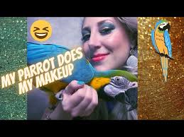 my blue and gold macaw parrot does my