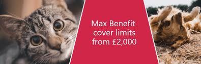 If you would like to make a complaint, you can contact us using the details below. Maximum Benefit Pet Insurance Argos Pet Insurance