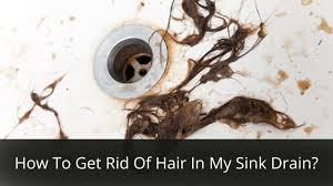 how to get rid of hair in my sink drain