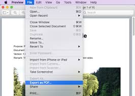 Open the iphone photos app. 6 Moglichkeiten Zum Konvertieren Von Pages In Pdf Unter Windows Mac Und Mobile
