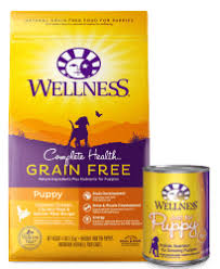 Your puppy needs the best nutrition for her or his growing body. 10 Of The Best Foods Your Puppy Can Eat Wellness Pet Food
