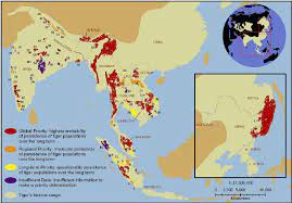 geographical distribution of tigers