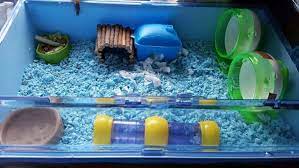 accessories for dwarf hamsters
