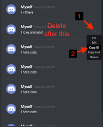 How do you delete a discord server on a computer. Delete All Your Messages From Dm Or Channel In Discord Bl Ocks Org