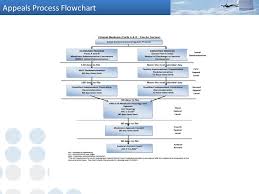 Rac Audit Process Flow Charts