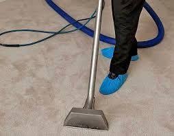 carpet cleaning lexington ky