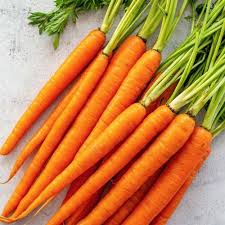 healthy farm fresh red carrot