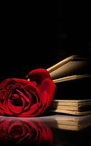 Red Rose Book Wallpaper iPhone - Best ...