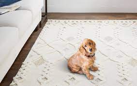 pet friendly rugs kathy kuo home