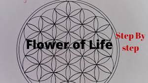 how to draw the flower of life for