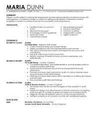 auditor resume examples accounting