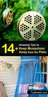 Keeping Mosquitoes Away From The Patio