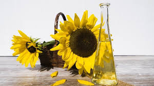 Siapa yang tidak mengenal bunga matahari? 7 Manfaat Minyak Biji Bunga Matahari Untuk Kesehatan