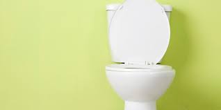 How To Tighten A Loose Toilet Seat