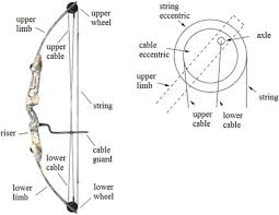 The Round Wheel Compound Bow Model Revisited A New