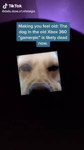 It will be published if it complies with the content rules and our moderators approve it. Gamerpic Memes Best Collection Of Funny Gamerpic Pictures On Ifunny