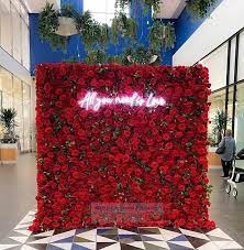 Enthusiasm Red Rose Flower Wall Panels