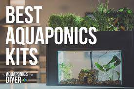 top 8 best aquaponics kits reviews