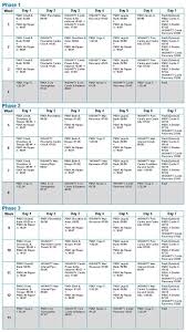 P90x And Insanity Hybrid Workout Schedule Health And Fitness