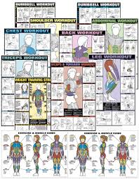 Flip Chart Poster Book Diet And Exercise Workout Posters