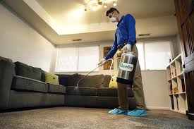 global leader in carpet cleaning