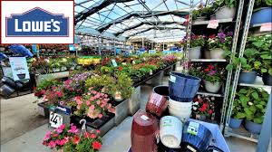 lowes garden center inventory july 2022