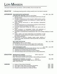 Mental Health Counselor Resume Objective