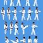 taekwondo forms in order from googleweblight.com
