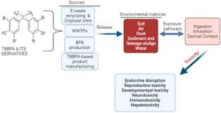 degradation and toxicity of tbbpa