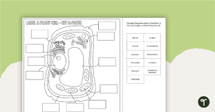 label a plant cell diagram cut and