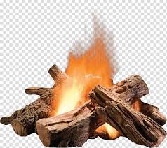 Ring Of Fire Fire Pit Fireplace Wood