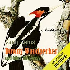 Nature sounds woodpecker and forest birds denmark spring relaxing study meditation ambient asmr. Downy Woodpecker And Other Bird Songs Nature Sounds For Awakening Audio Download Amazon In Uncredited Greg Cetus Interactive Media Audible Audiobooks