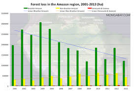 Whats The Current Deforestation Rate In The Amazon