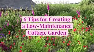 We did not find results for: How To Create A Low Maintenance Cottage Garden Better Homes Gardens