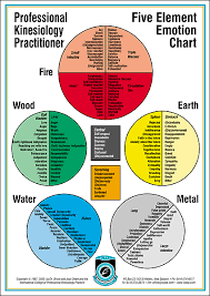 Five Element Emotion Chart