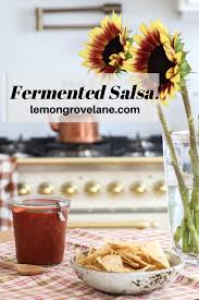 how to make fermented salsa the best