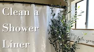 shower curtain liner deep clean