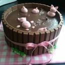 Image result for jhss cake auction