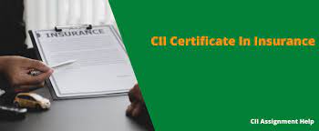 CII Assignment Help gambar png