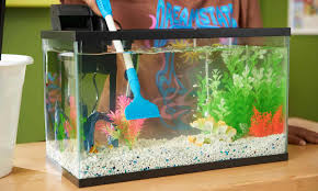 how to clean a fish tank freshwater