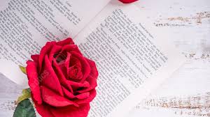 heart rose romantic love gift