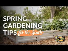 Spring Gardening Tips For Southern