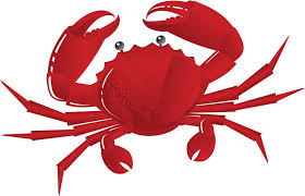 Image result for crabs images