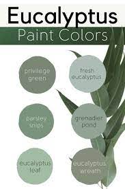 The Best Eucalyptus Green Colors For
