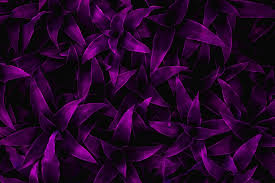 what color do purple and black make