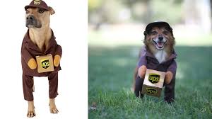 12 dog costumes and cat costumes for a