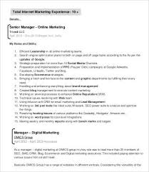 Digital Marketing Resume Samples   Sample Resume for Digital     VisualCV        Resume Sample For Digital Marketing    Doc Resume          Marketing  Resume Example Resume Large    