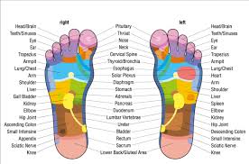 Massaging Pressure Points On Feet For Back Pain Truth Code