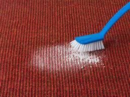 how to clean carpet using enzymes